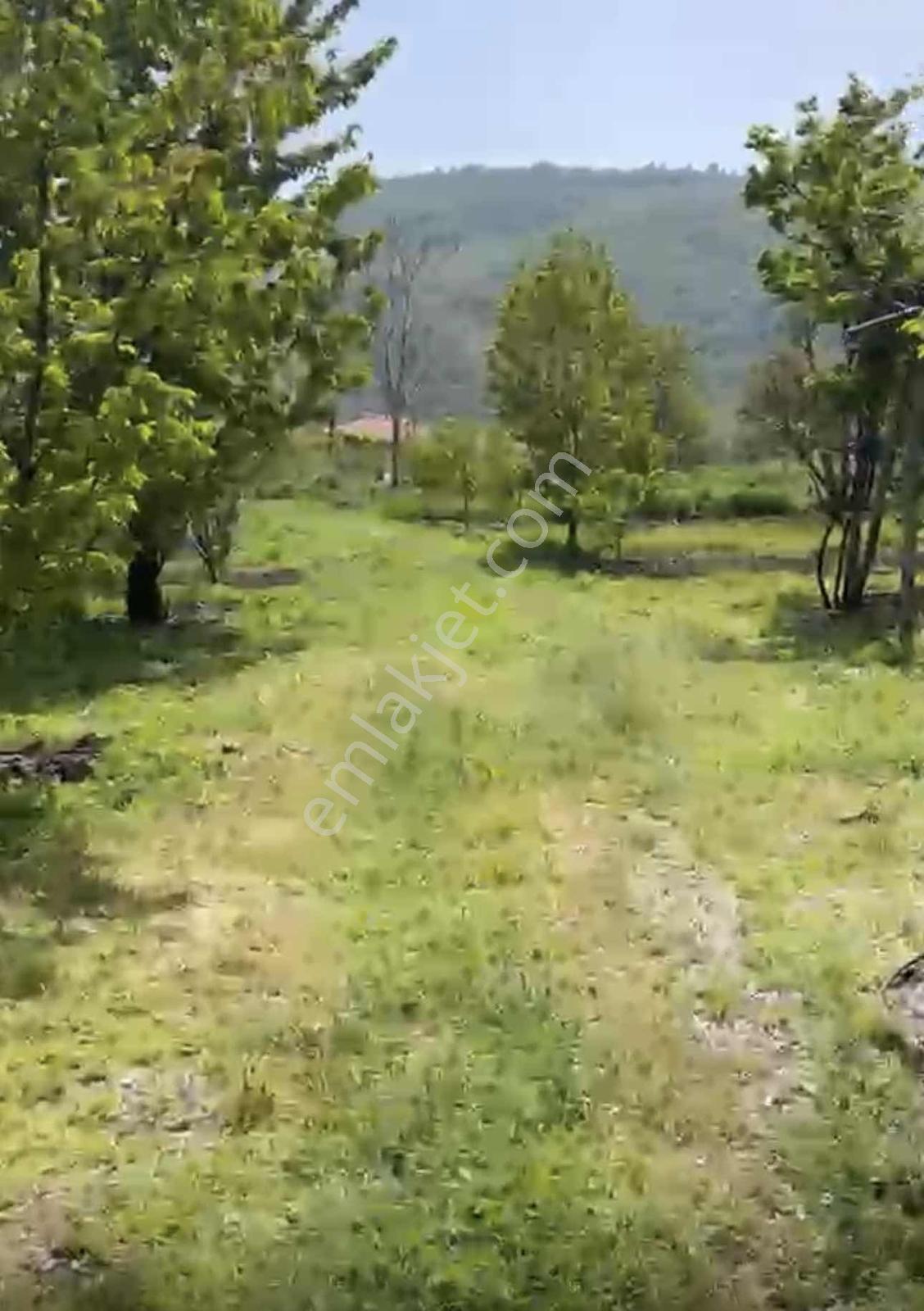 Marka Dan Fırsat !!!! Fiyat Düştü 3 Gün İçin!! — fotoğraf 4