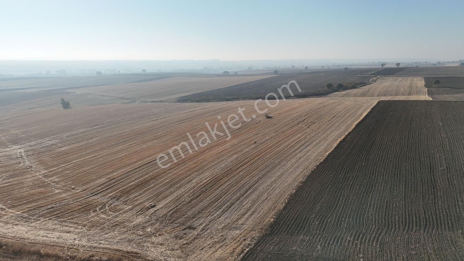 Buluruzdan Edirne Havsa Oğulpaşa Köyünde Satılık 24 Dönüm Tarla — fotoğraf 3