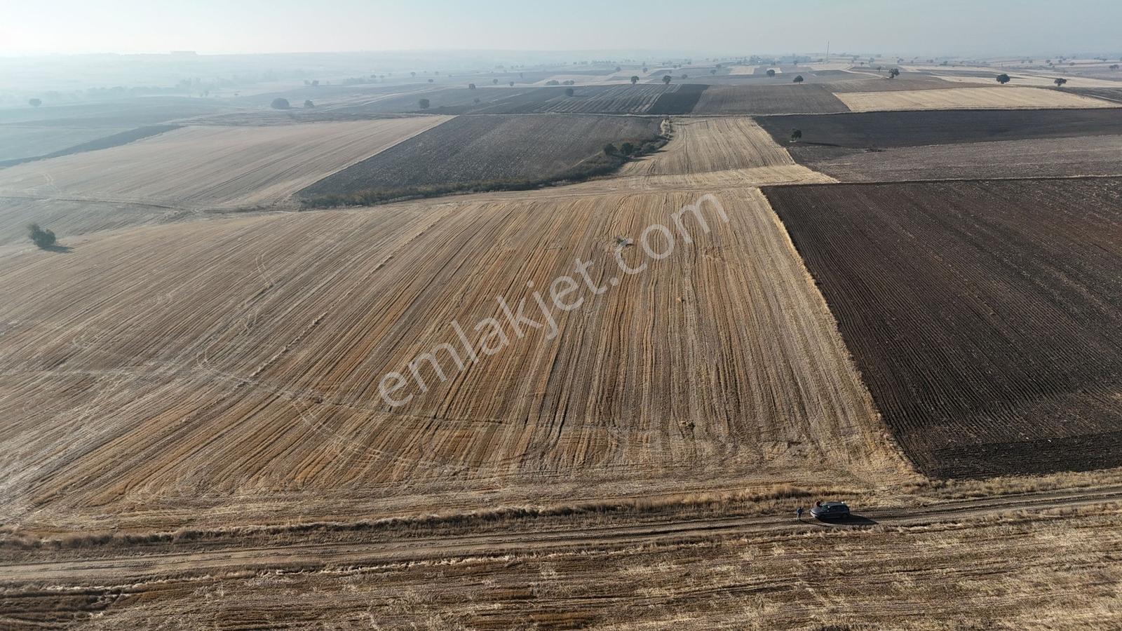 Buluruzdan Edirne Havsa Oğulpaşa Köyünde Satılık 24 Dönüm Tarla — fotoğraf 4