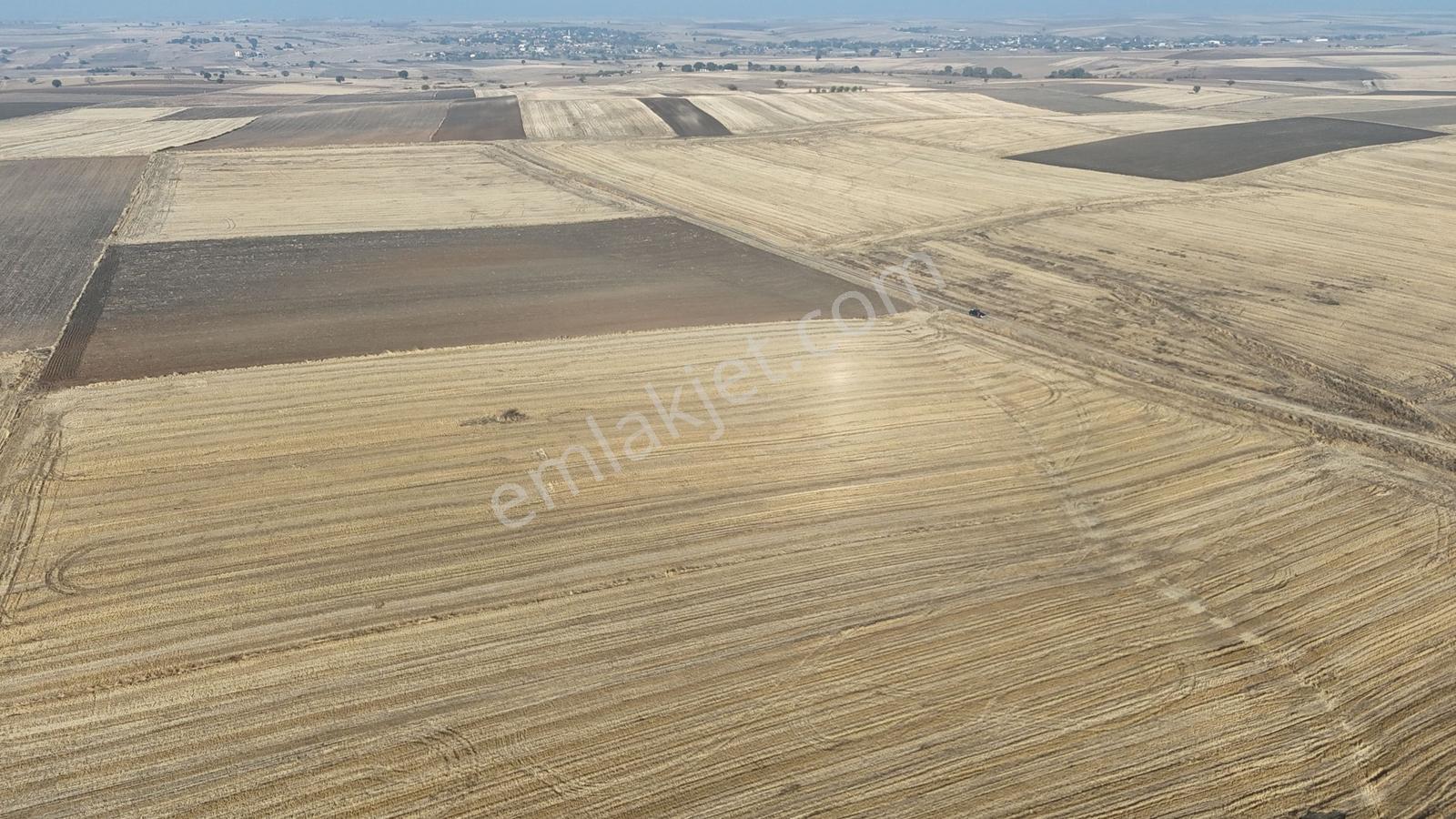 Buluruzdan Edirne Havsa Oğulpaşa Köyünde Satılık 24 Dönüm Tarla — fotoğraf 7