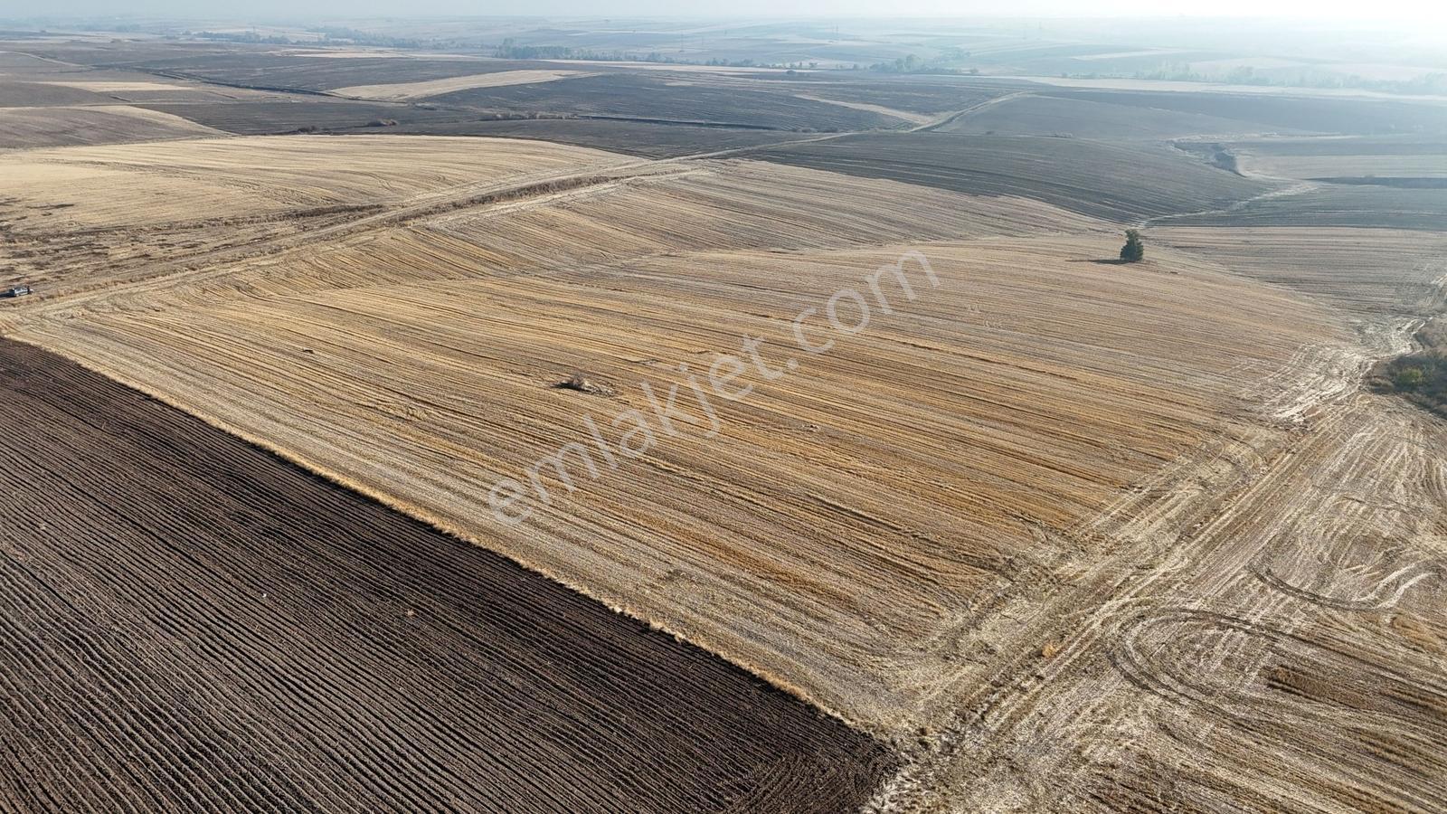 Buluruzdan Edirne Havsa Oğulpaşa Köyünde Satılık 24 Dönüm Tarla — fotoğraf 10