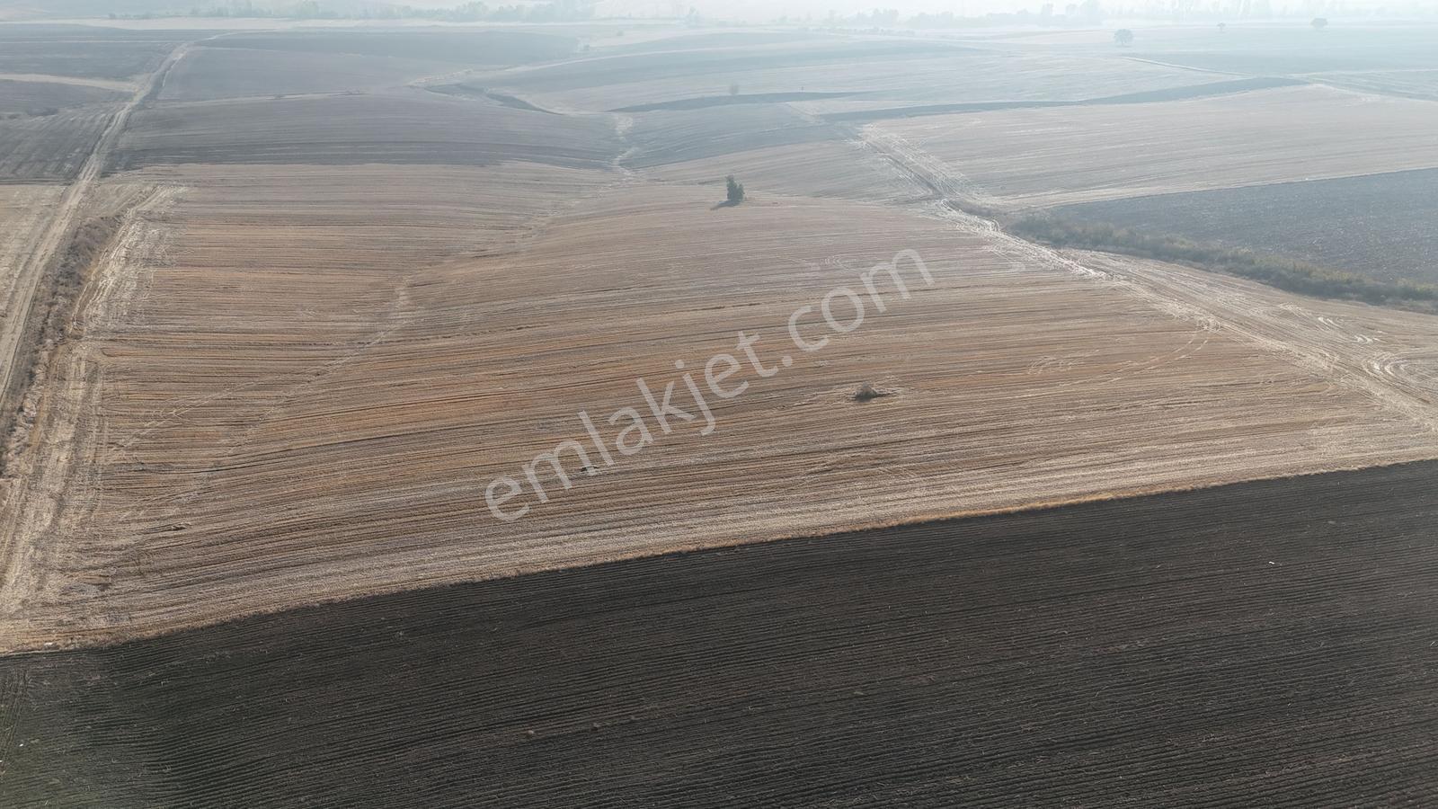 Buluruzdan Edirne Havsa Oğulpaşa Köyünde Satılık 24 Dönüm Tarla — fotoğraf 13