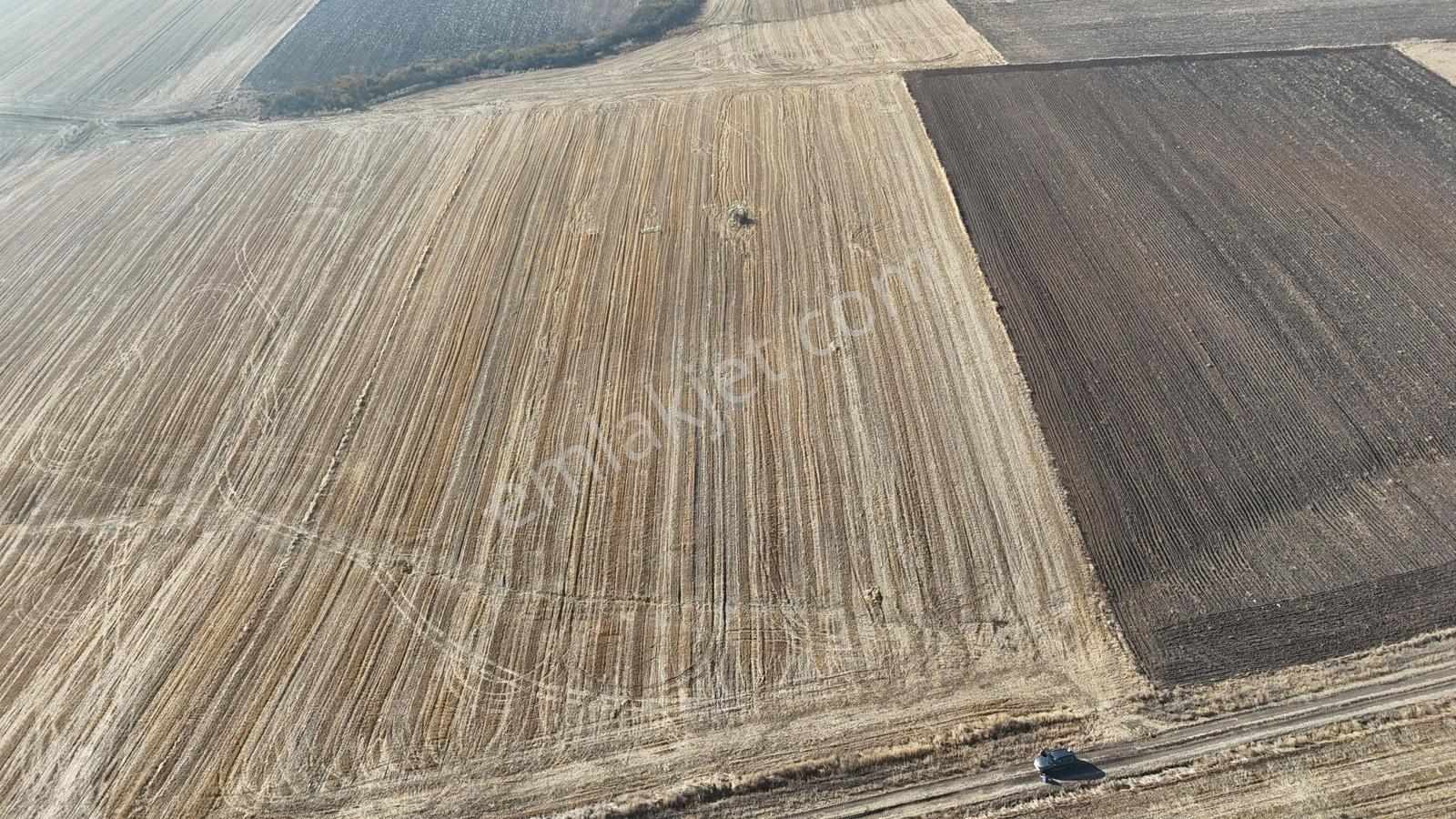 Buluruzdan Edirne Havsa Oğulpaşa Köyünde Satılık 24 Dönüm Tarla — fotoğraf 16
