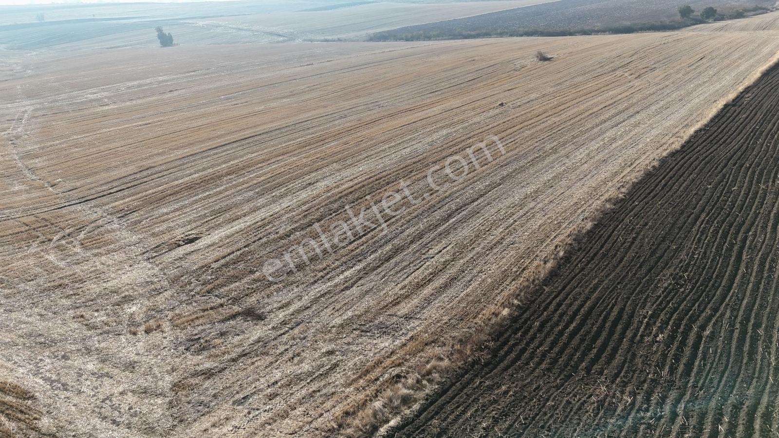 Buluruzdan Edirne Havsa Oğulpaşa Köyünde Satılık 24 Dönüm Tarla — fotoğraf 17