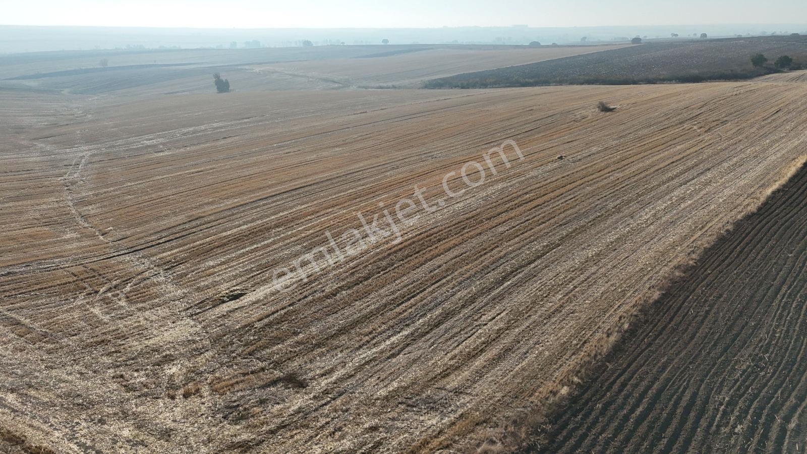 Buluruzdan Edirne Havsa Oğulpaşa Köyünde Satılık 24 Dönüm Tarla — fotoğraf 18