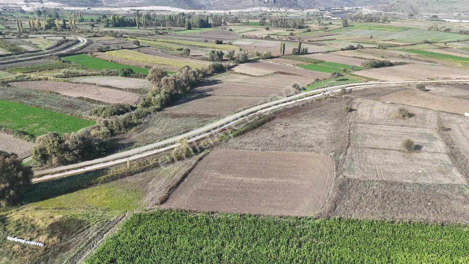 Mir'Den Kepsut Hotaşlarda 2.775M2 Sulama Kanalı Yanında Tarla