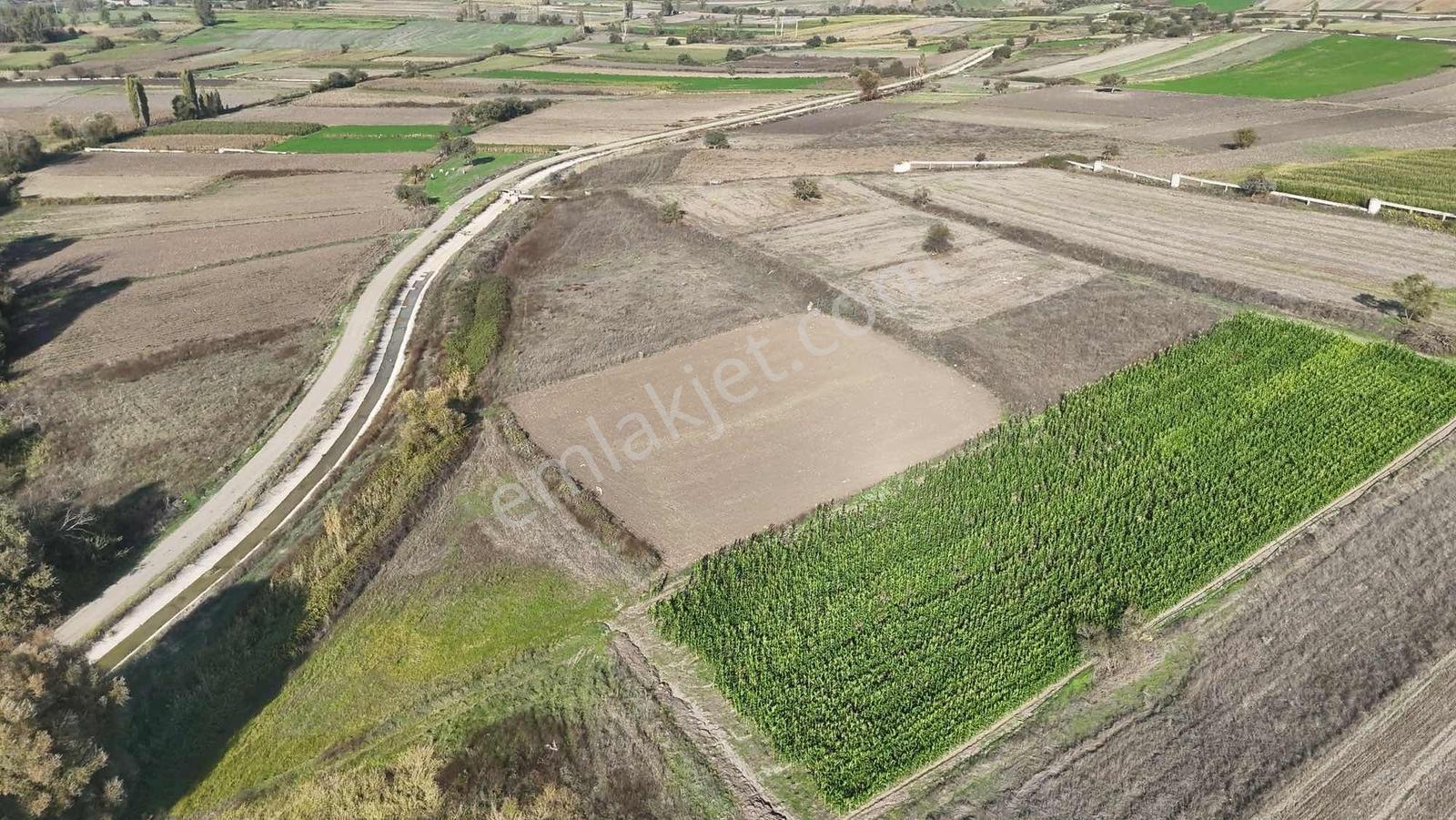 Mir'den Kepsut Hotaşlarda 2.775m2 Sulama Kanalı Yanında Tarla — fotoğraf 5