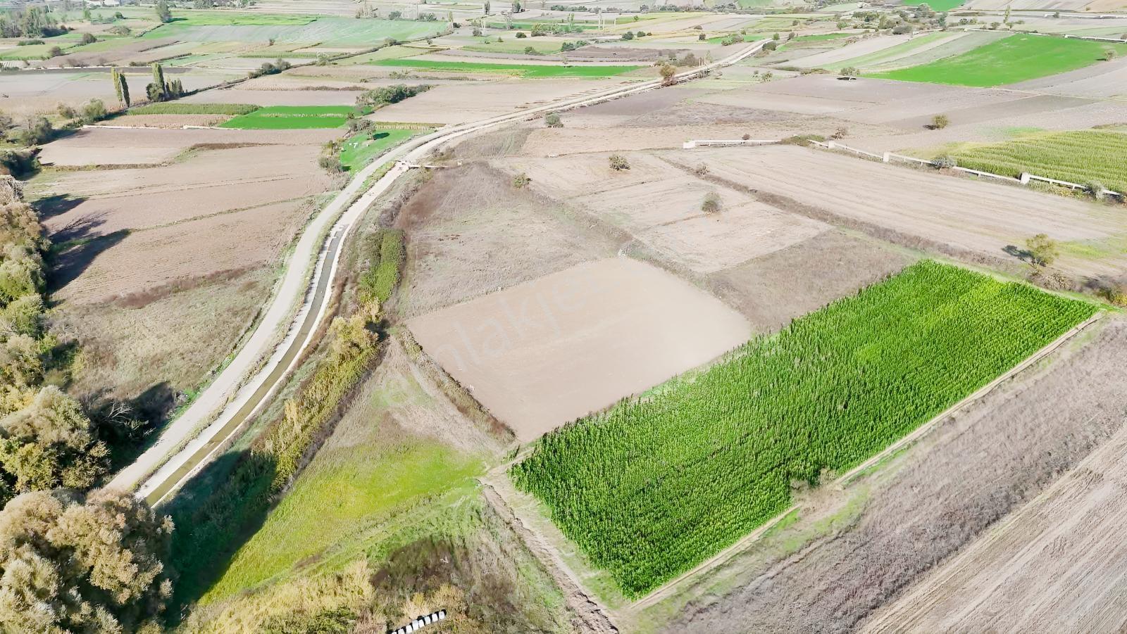 Mir'den Kepsut Hotaşlarda 2.775m2 Sulama Kanalı Yanında Tarla — fotoğraf 6