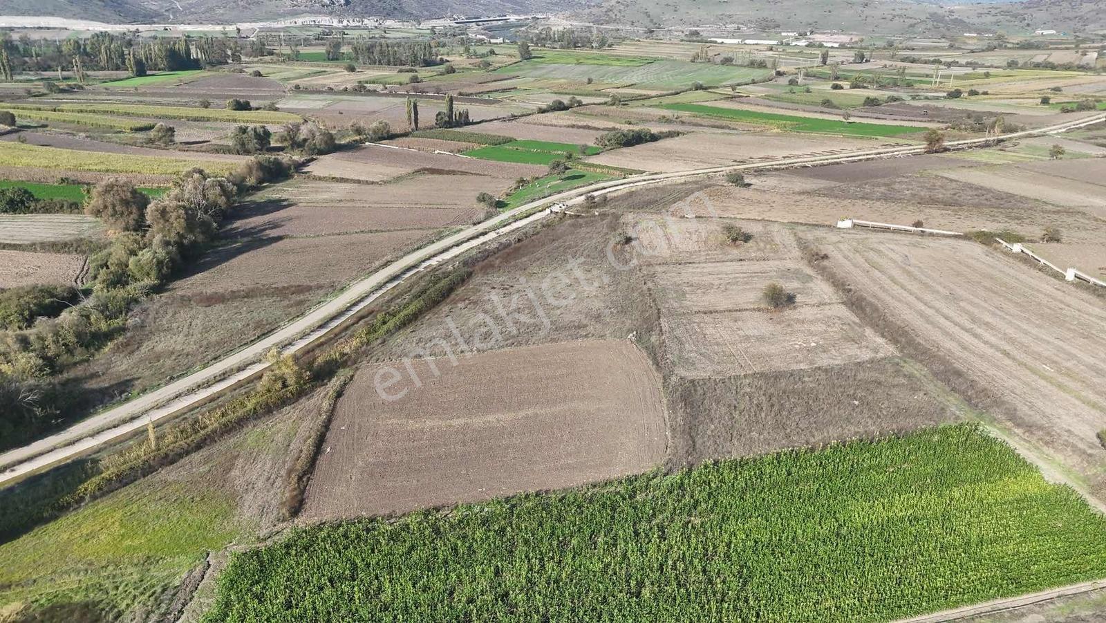 Mir'den Kepsut Hotaşlarda 2.775m2 Sulama Kanalı Yanında Tarla — fotoğraf 7