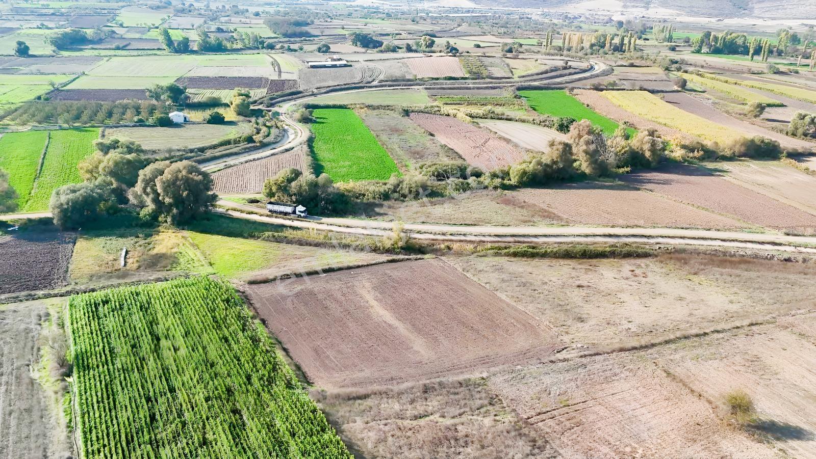 Mir'den Kepsut Hotaşlarda 2.775m2 Sulama Kanalı Yanında Tarla — fotoğraf 10