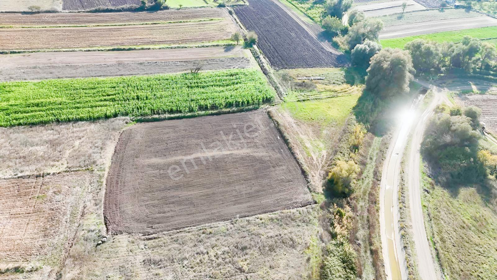 Mir'den Kepsut Hotaşlarda 2.775m2 Sulama Kanalı Yanında Tarla — fotoğraf 17