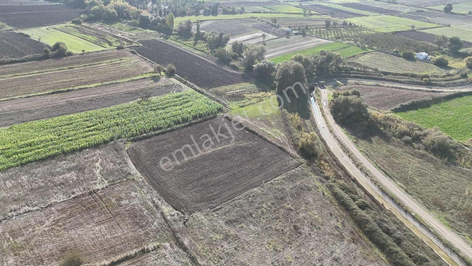 Mir'den Kepsut Hotaşlarda 2.775m2 Sulama Kanalı Yanında Tarla — fotoğraf 18