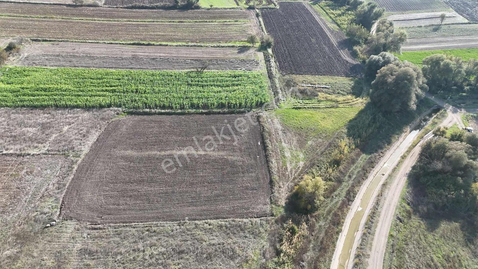 Mir'den Kepsut Hotaşlarda 2.775m2 Sulama Kanalı Yanında Tarla — fotoğraf 21