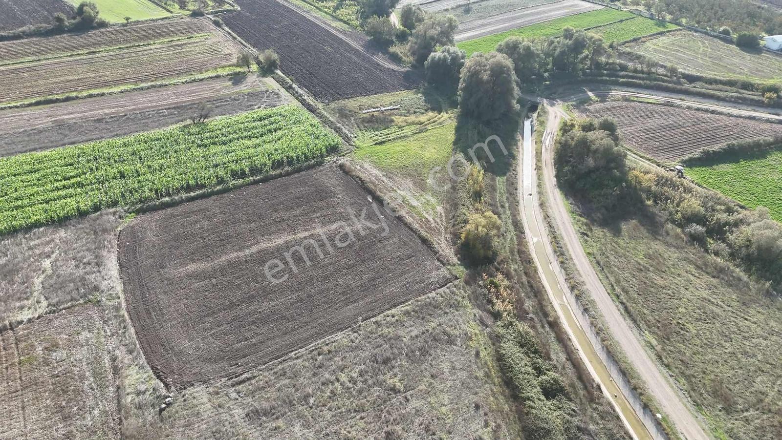 Mir'den Kepsut Hotaşlarda 2.775m2 Sulama Kanalı Yanında Tarla — fotoğraf 22