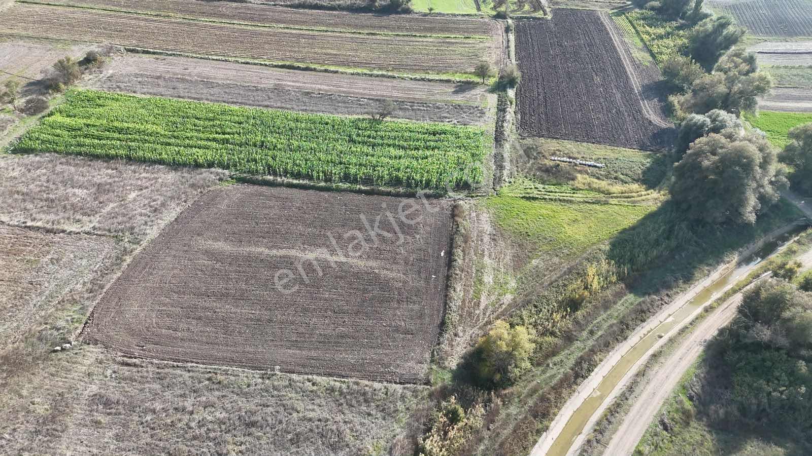 Mir'den Kepsut Hotaşlarda 2.775m2 Sulama Kanalı Yanında Tarla — fotoğraf 23