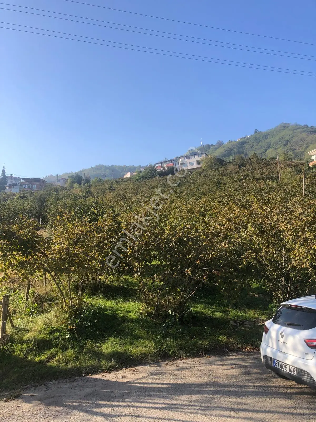 Trabzon Gürbulak Satılık 3.566 M2 Arazi — fotoğraf 4