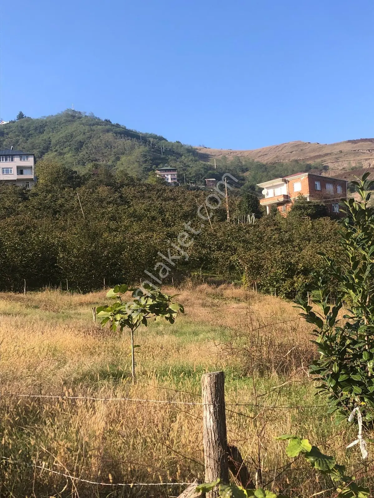 Trabzon Gürbulak Satılık 3.566 M2 Arazi — fotoğraf 6