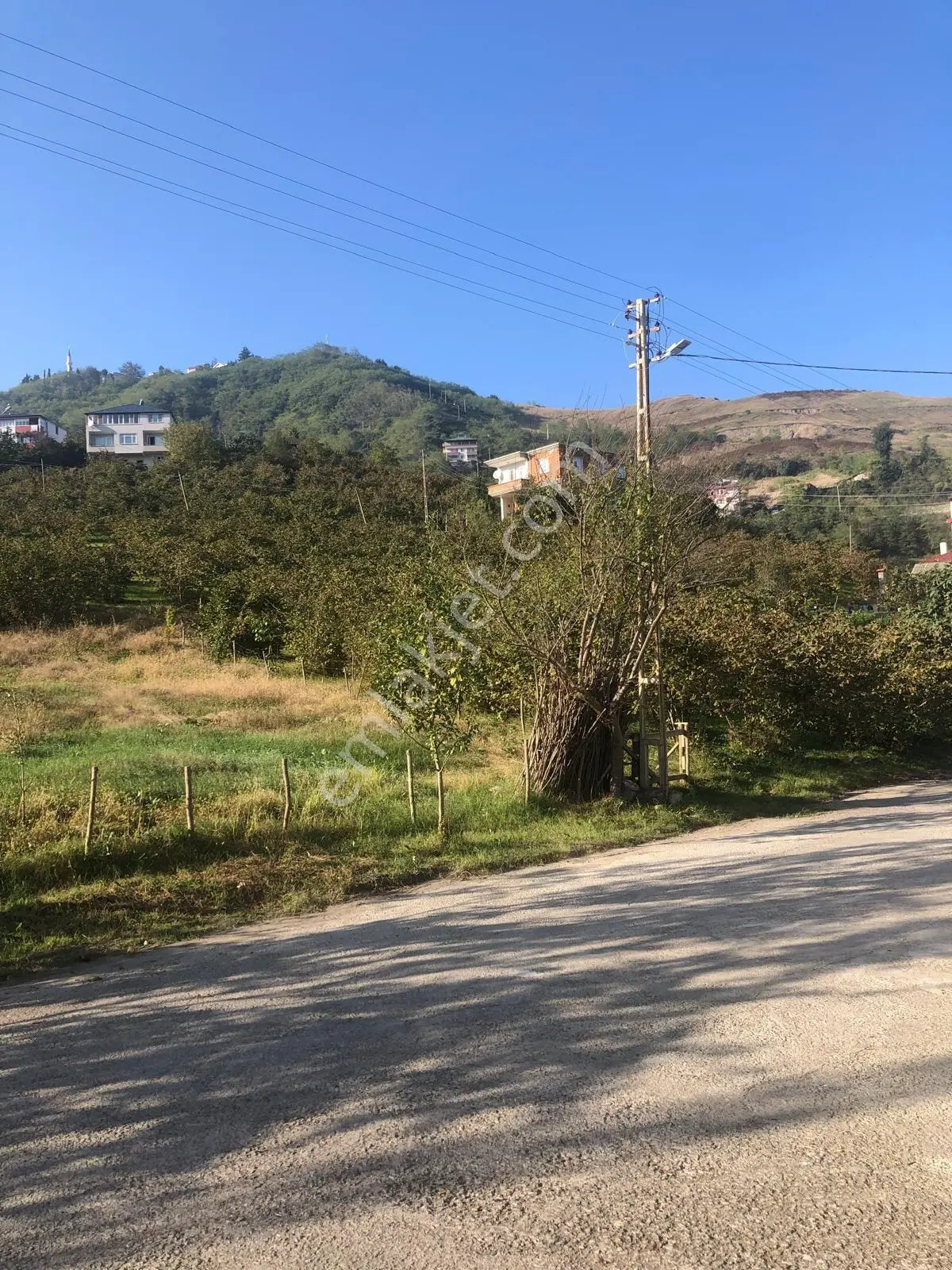 Trabzon Gürbulak Satılık 3.566 M2 Arazi — fotoğraf 7