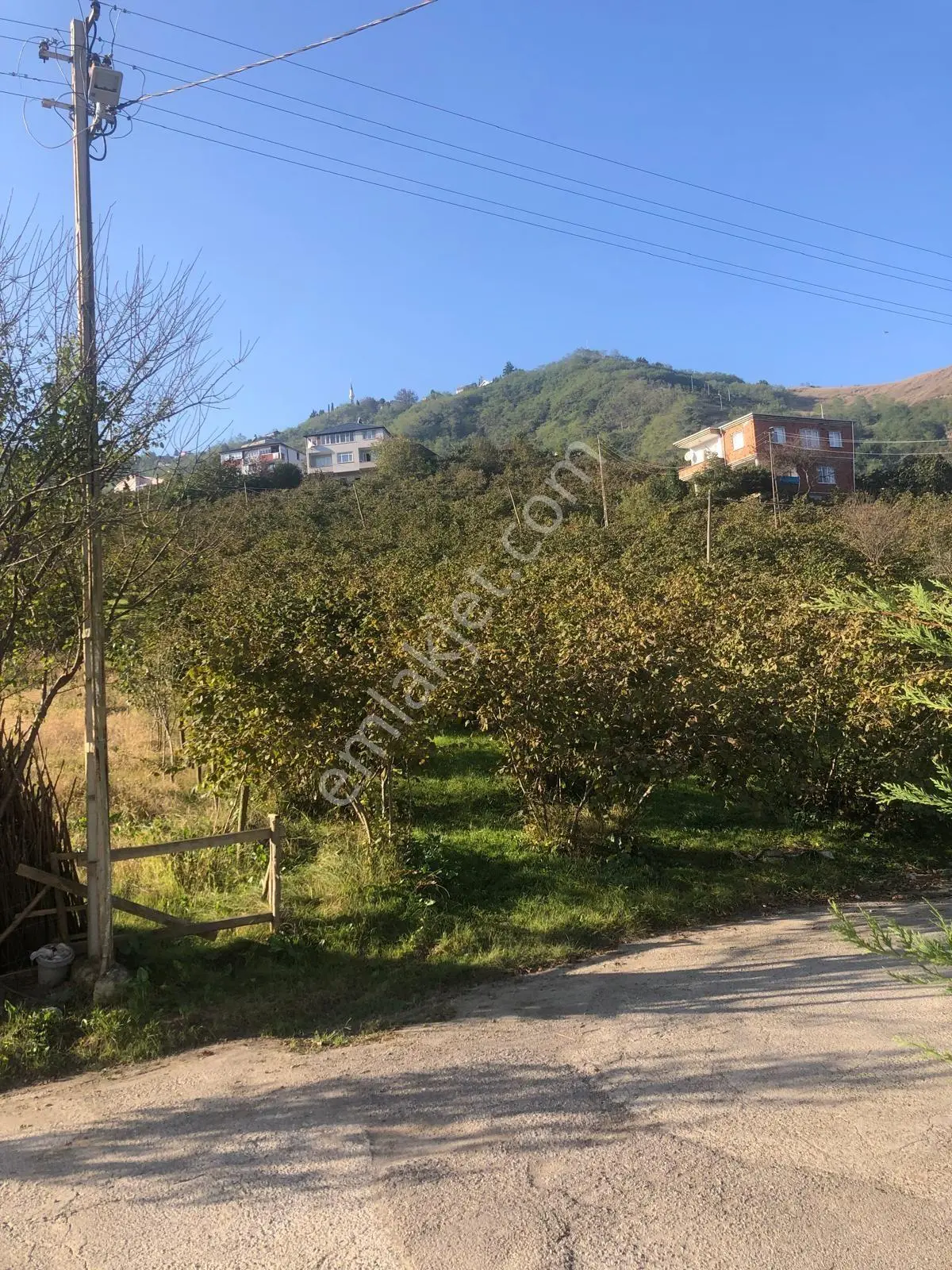 Trabzon Gürbulak Satılık 3.566 M2 Arazi — fotoğraf 8