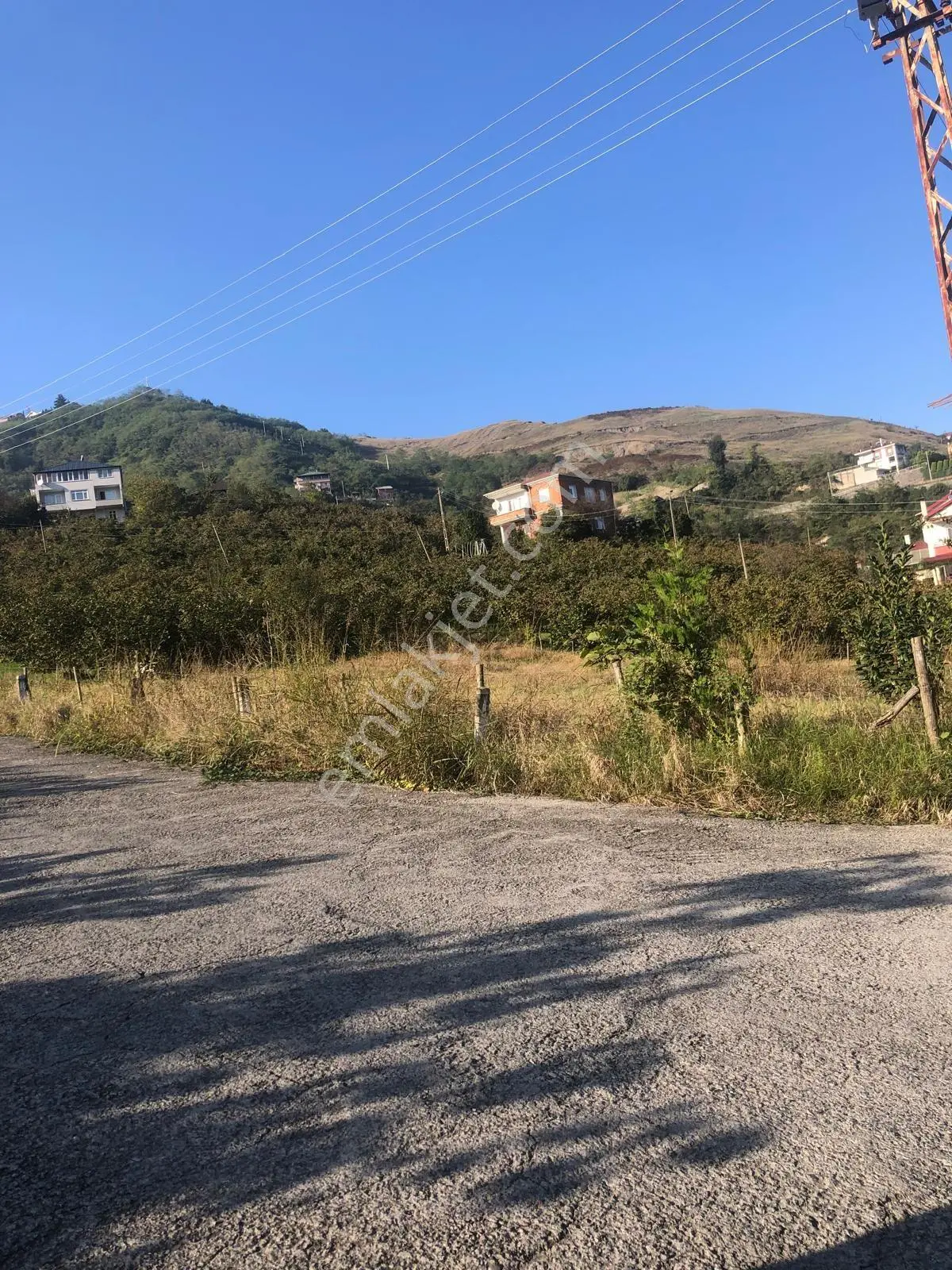 Trabzon Gürbulak Satılık 3.566 M2 Arazi — fotoğraf 9