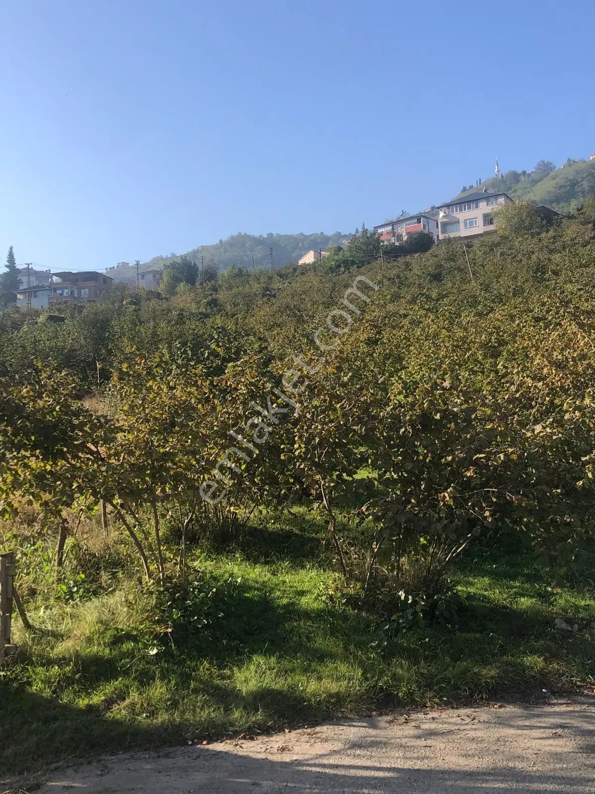 Trabzon Gürbulak Satılık 3.566 M2 Arazi — fotoğraf 10