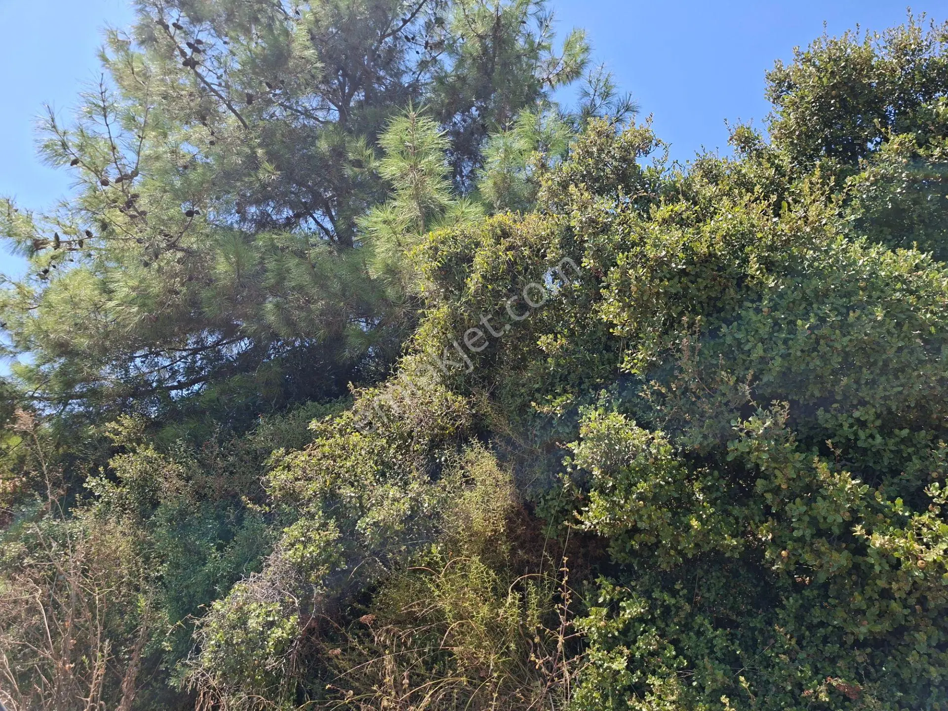 Çalkaya Mandırlarda Panoromik Manzaralı 414 M2 Köşe Parsel Arsa — fotoğraf 6
