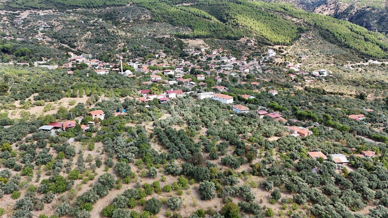 Aydın Kuyucak Kayran'da Satılık 7655 M² İmarlı Zeytinlik — fotoğraf 5
