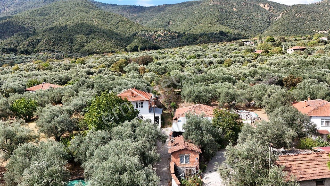 Aydın Kuyucak Kayran'da Satılık 7655 M² İmarlı Zeytinlik — fotoğraf 28