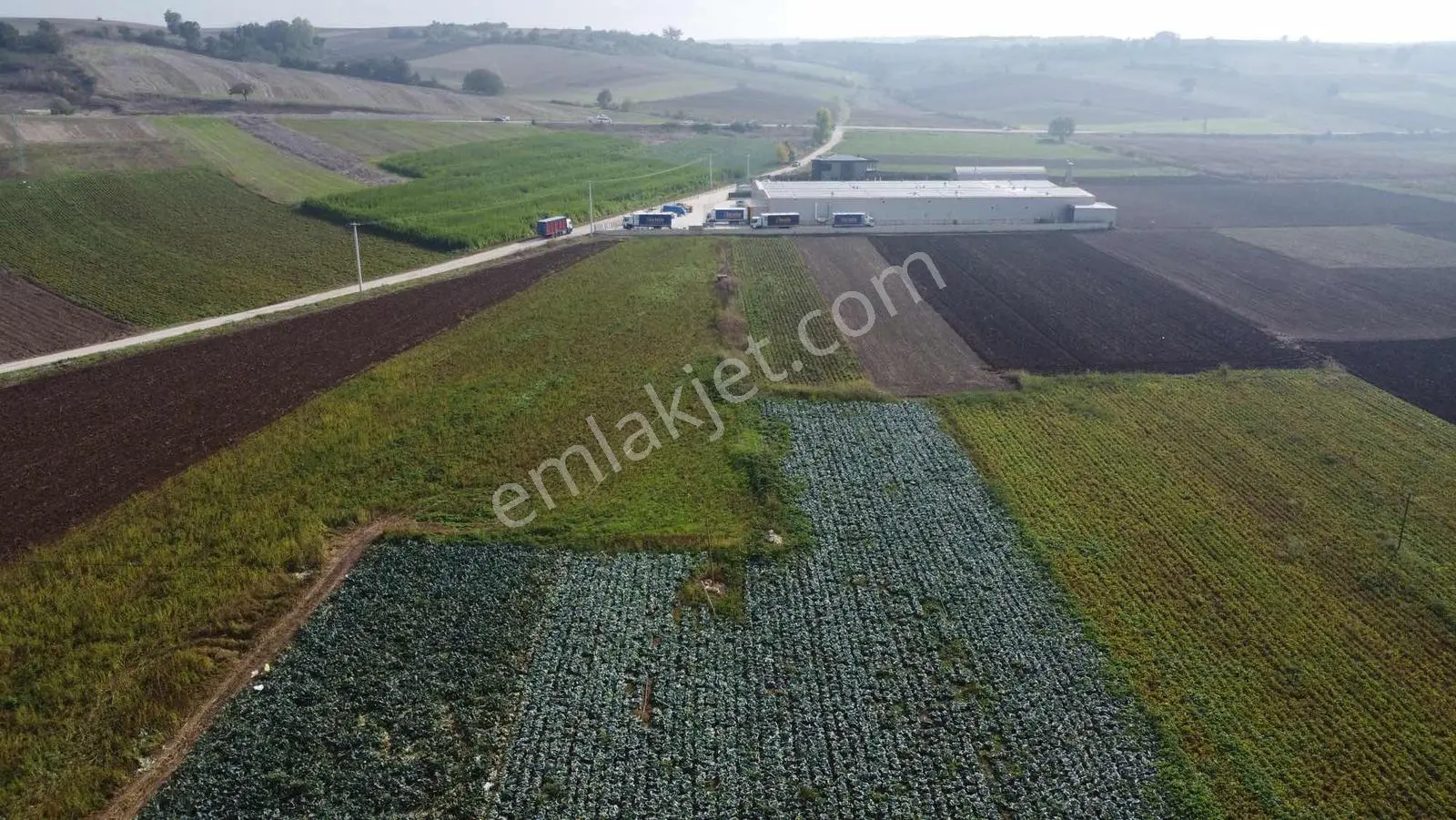Emre Çevik'den Yenişehir Söylemiş Asfalt Yola Cephe Tarla 1539m2 — fotoğraf 23