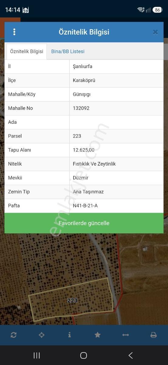 Yasin Batan'dan Günışık Bozova Yola 300metre Müstakil Fıstıklık! — fotoğraf 2