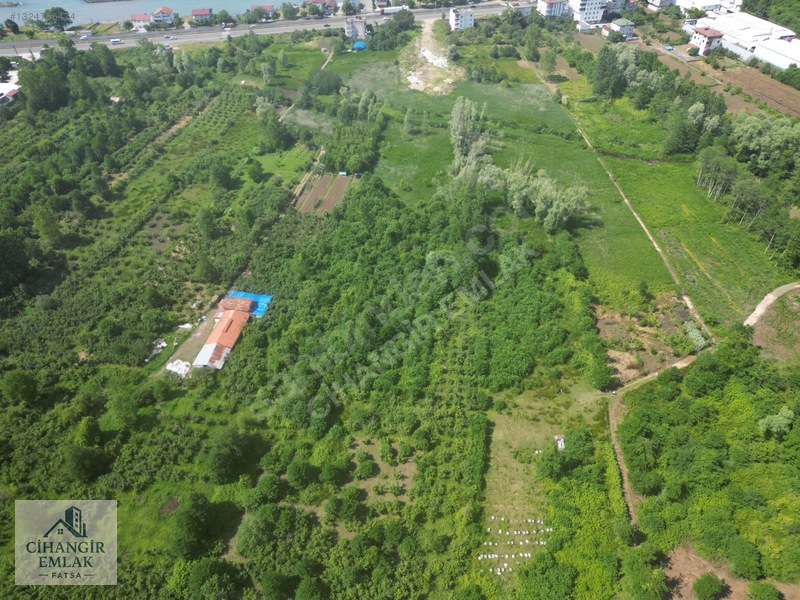 Cihangir Emlak'tan Yenipazar'ın En Değerli Bölgesinde Arsa!! — fotoğraf 4