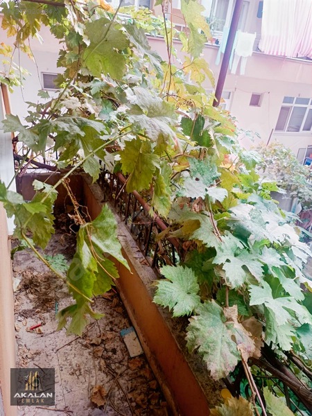 Akalan Emlaktan Satılık Müstakil Bina — fotoğraf 16