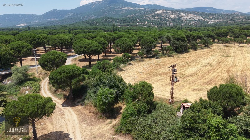 Bergama Kozak Terzihaliller Mah.yola Cephe Satılık Düz Arazi — fotoğraf 2