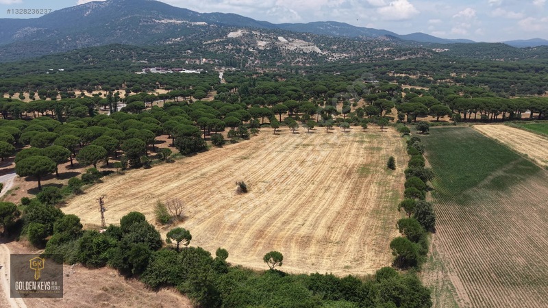 Bergama Kozak Terzihaliller Mah.yola Cephe Satılık Düz Arazi — fotoğraf 3