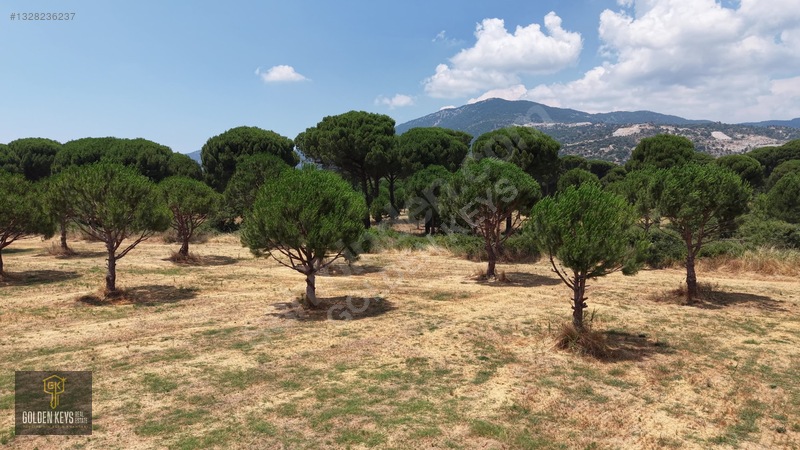 Bergama Kozak Terzihaliller Mah.yola Cephe Satılık Düz Arazi — fotoğraf 7