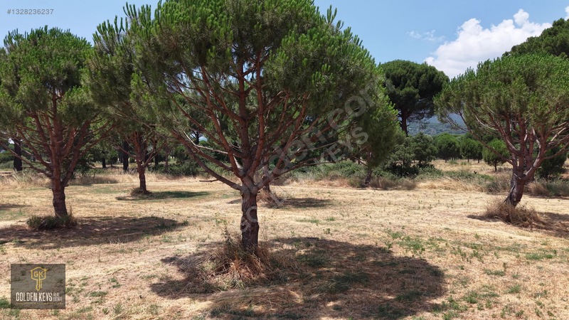 Bergama Kozak Terzihaliller Mah.yola Cephe Satılık Düz Arazi — fotoğraf 8