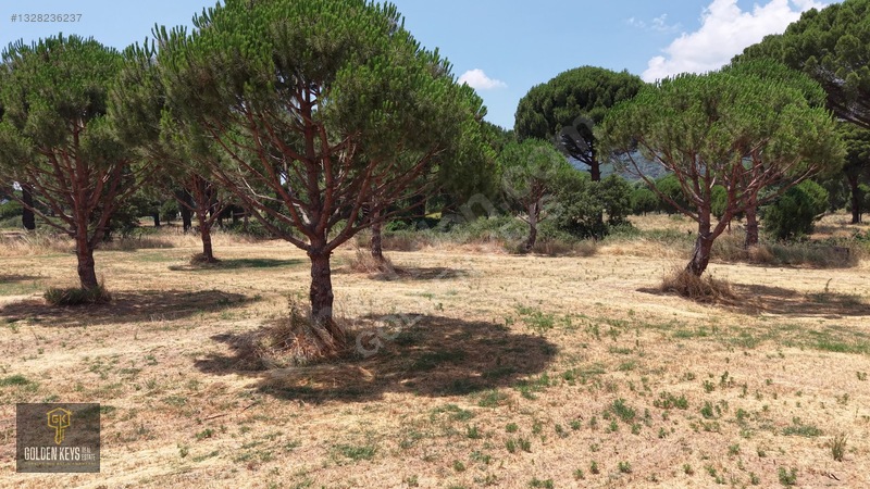 Bergama Kozak Terzihaliller Mah.yola Cephe Satılık Düz Arazi — fotoğraf 9