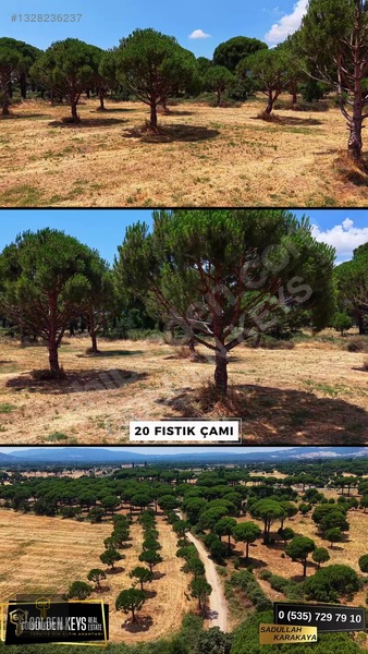 Bergama Kozak Terzihaliller Mah.yola Cephe Satılık Düz Arazi — fotoğraf 27