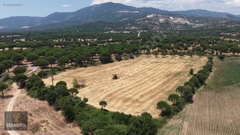 Bergama Kozak Terzihaliller Mah.yola Cephe Satılık Düz Arazi — fotoğraf 29