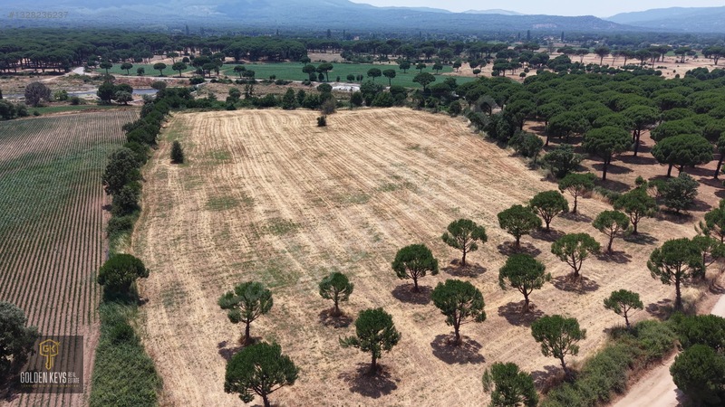 Bergama Kozak Terzihaliller Mah.yola Cephe Satılık Düz Arazi — fotoğraf 38