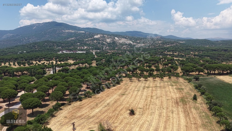 Bergama Kozak Terzihaliller Mah.yola Cephe Satılık Düz Arazi — fotoğraf 49