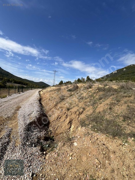 Şükriye De Kadastro Yola Cephe 19 Dönüm Tarla