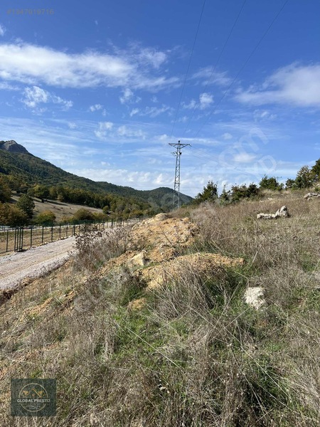 Şükriye De Kadastro Yola Cephe 19 Dönüm Tarla — fotoğraf 4