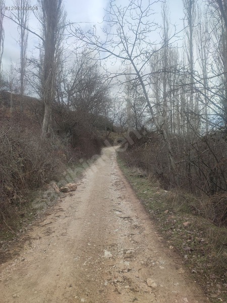 Eğirdir Sarıidris Merkeze 900 Metre Mesafede 887m2 Hobi Bahçesi — fotoğraf 2