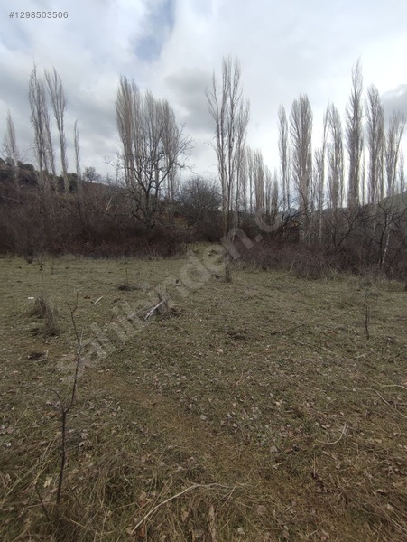 Eğirdir Sarıidris Merkeze 900 Metre Mesafede 887m2 Hobi Bahçesi — fotoğraf 4