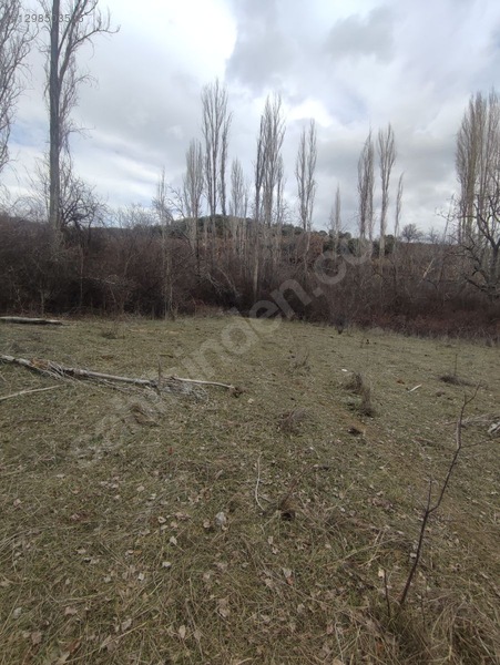 Eğirdir Sarıidris Merkeze 900 Metre Mesafede 887m2 Hobi Bahçesi — fotoğraf 5