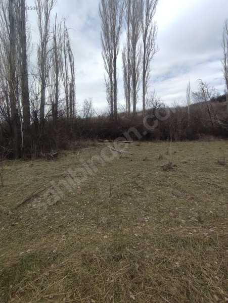 Eğirdir Sarıidris Merkeze 900 Metre Mesafede 887m2 Hobi Bahçesi — fotoğraf 9