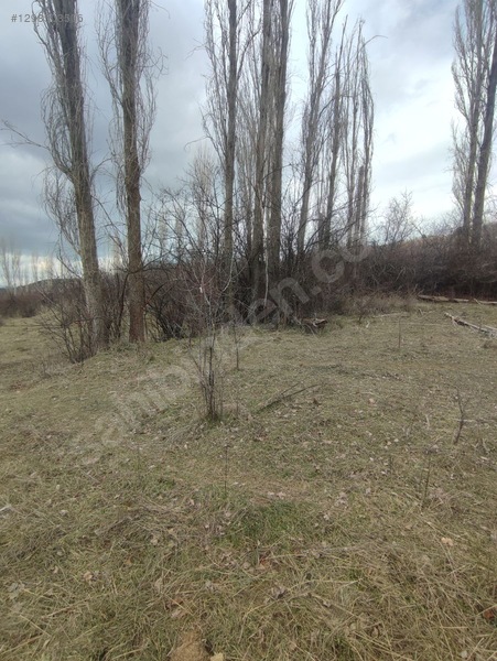 Eğirdir Sarıidris Merkeze 900 Metre Mesafede 887m2 Hobi Bahçesi — fotoğraf 10