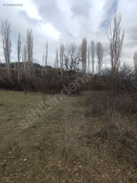 Eğirdir Sarıidris Merkeze 900 Metre Mesafede 887m2 Hobi Bahçesi — fotoğraf 11