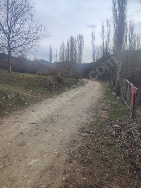 Eğirdir Sarıidris Merkeze 900 Metre Mesafede 887m2 Hobi Bahçesi — fotoğraf 13